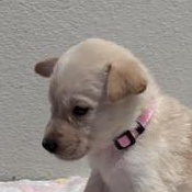 Sarah — thumbnail 2