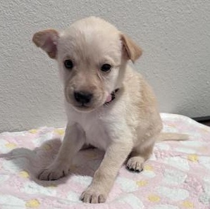 Sarah — thumbnail 4