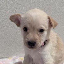 Sarah — thumbnail 6