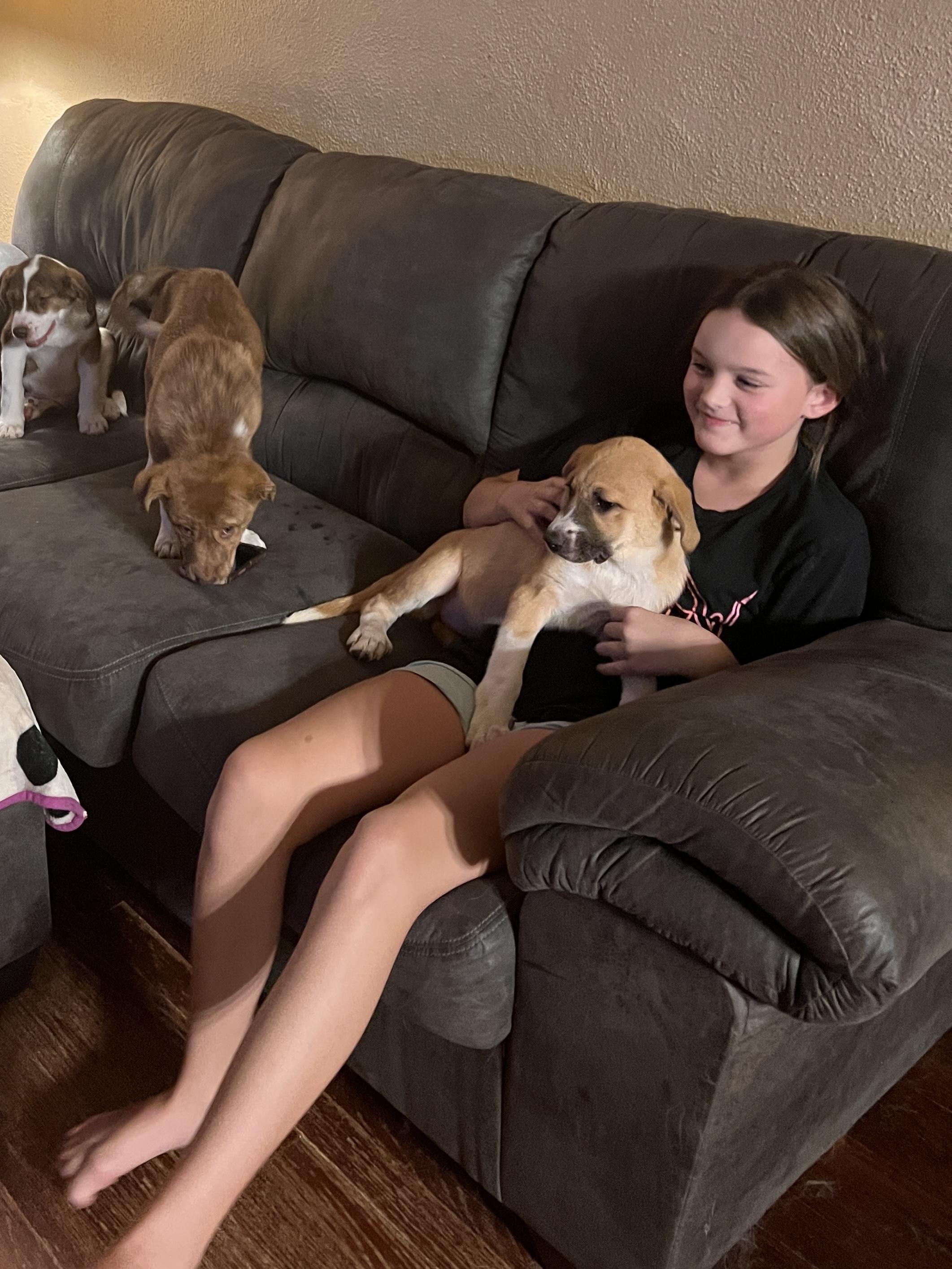Enlarge Suki, a Adopted mixed breed in Sioux City, IA image 2/6