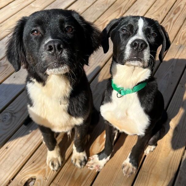 Twig and Zero