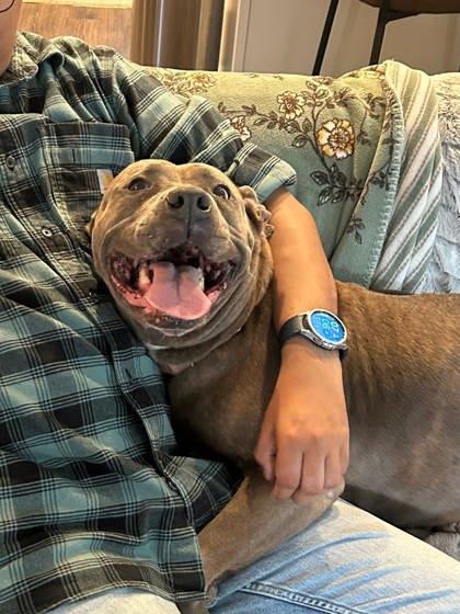 Enlarge Lizzy, a Adoptable Mixed Breed in Cincinnati, OH image 3/3