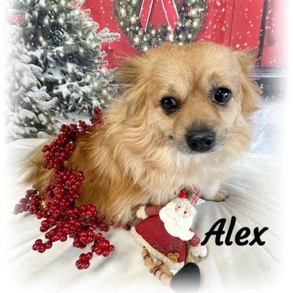 Alex — thumbnail 4