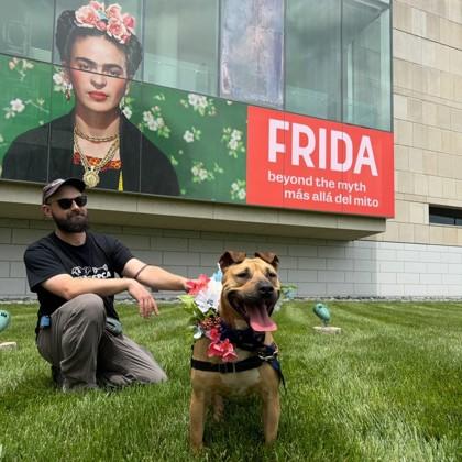 Enlarge Frida, a Adoptable mixed breed in Richmond, VA image 1/6