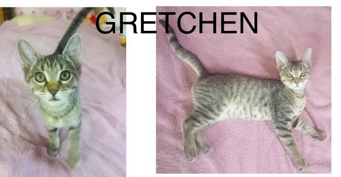 Gretchen photo 3