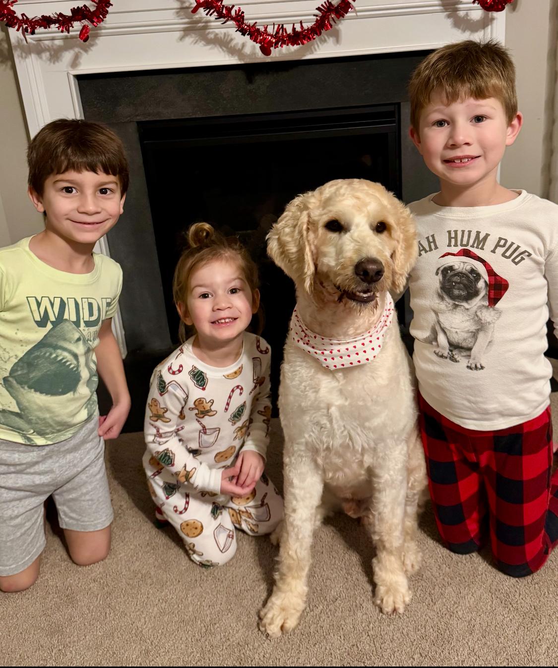 Enlarge Cruz, a Adoptable mixed breed in Monroe, NC image 6/6