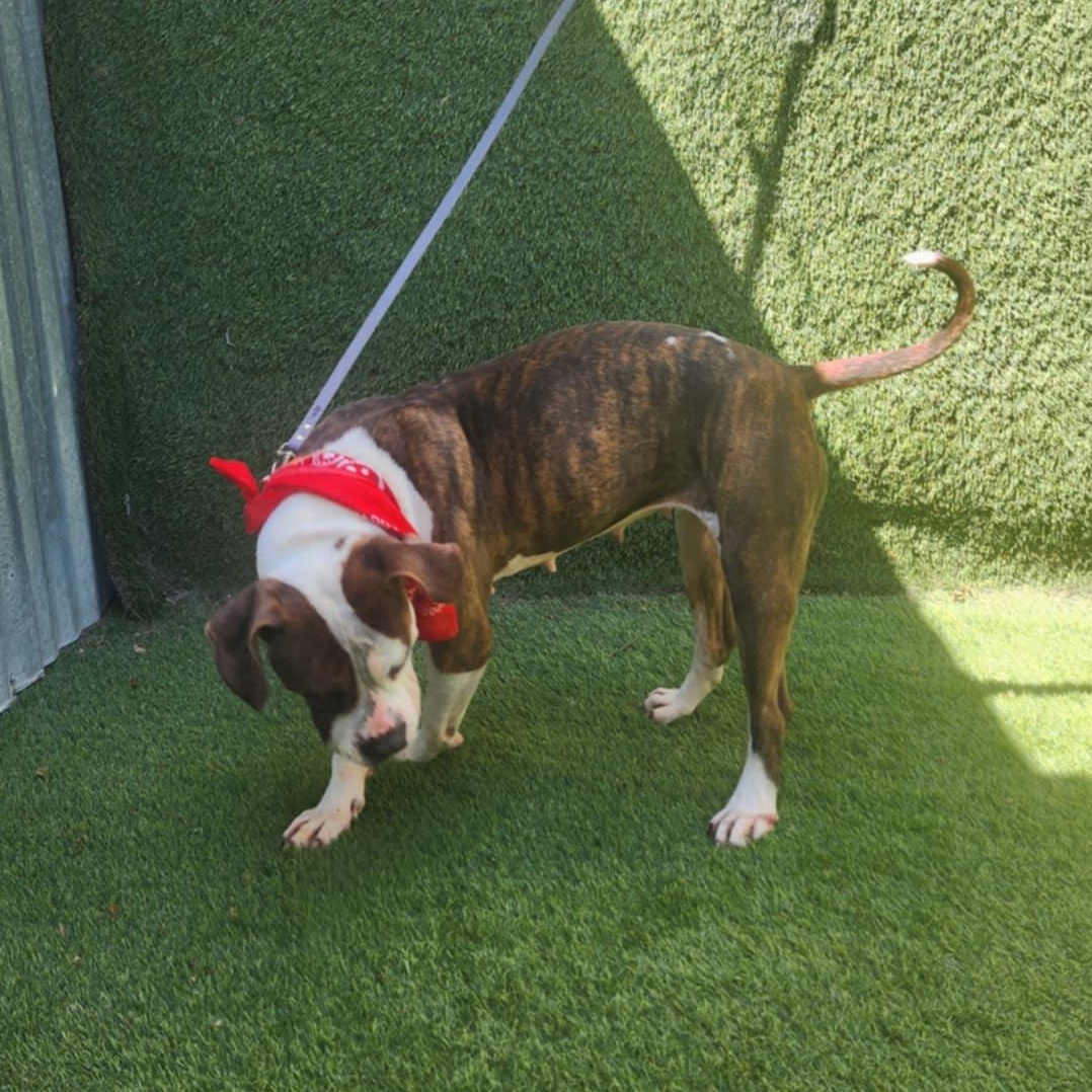 Kiara — thumbnail 5