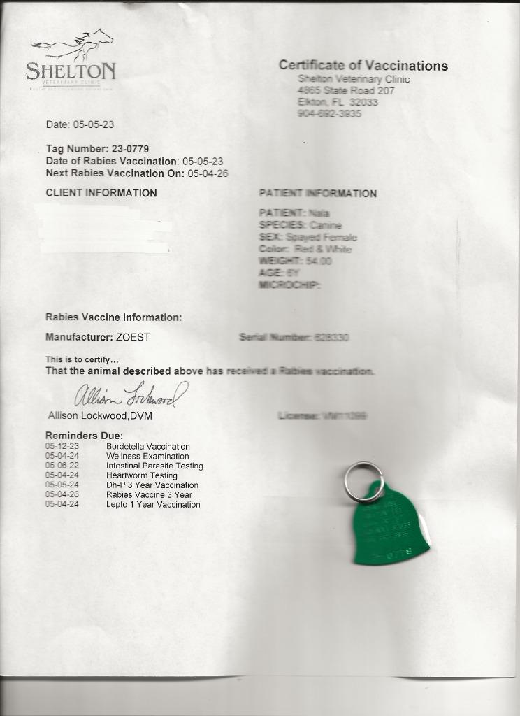 Enlarge Nala (fka Ms.Tanner), a Adoptable mixed breed in St. Augustine, FL image 4/6