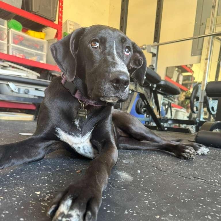 Sunshine beautiful baby with limited vision in one eye