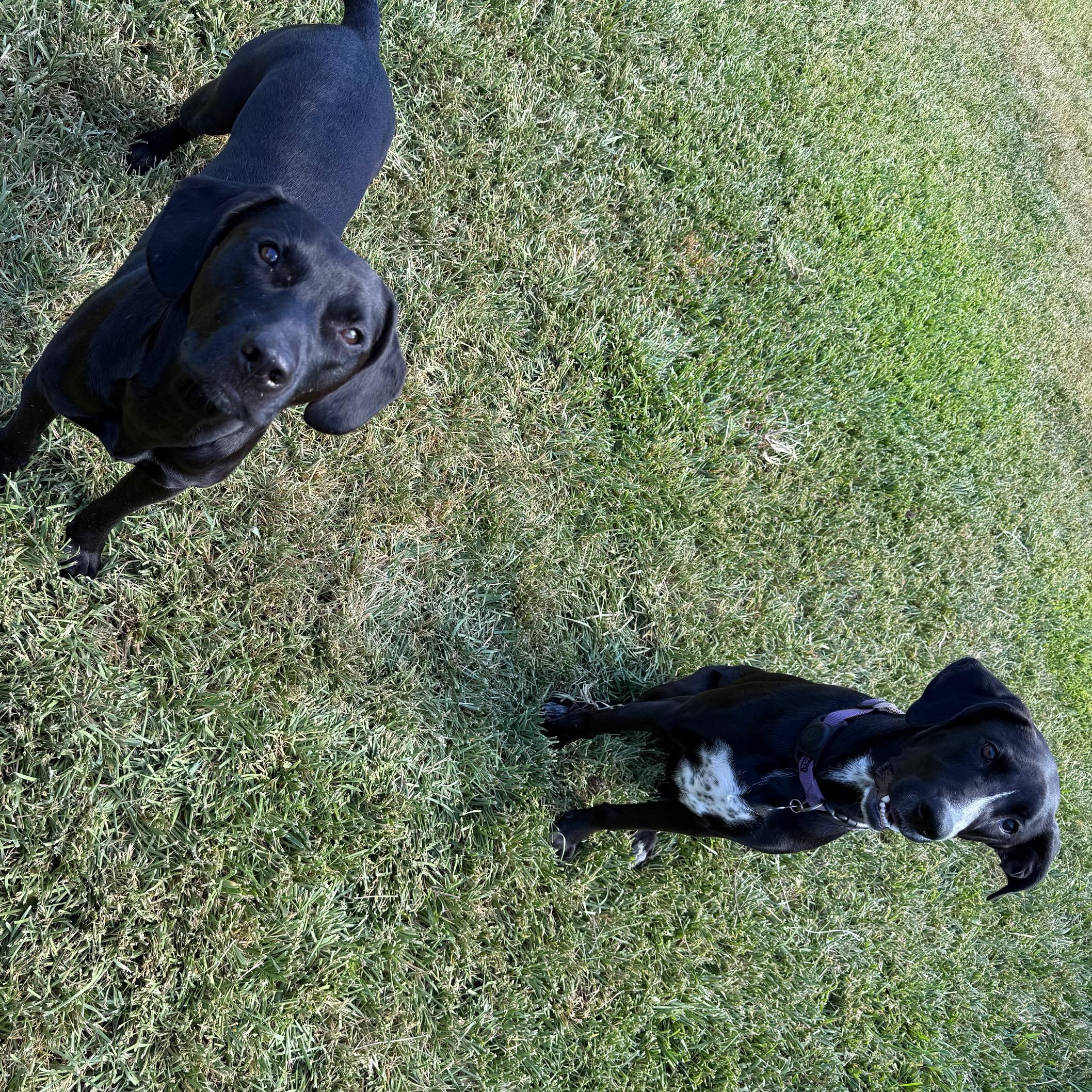 Sunshine beautiful baby with limited vision in one eye — thumbnail 2