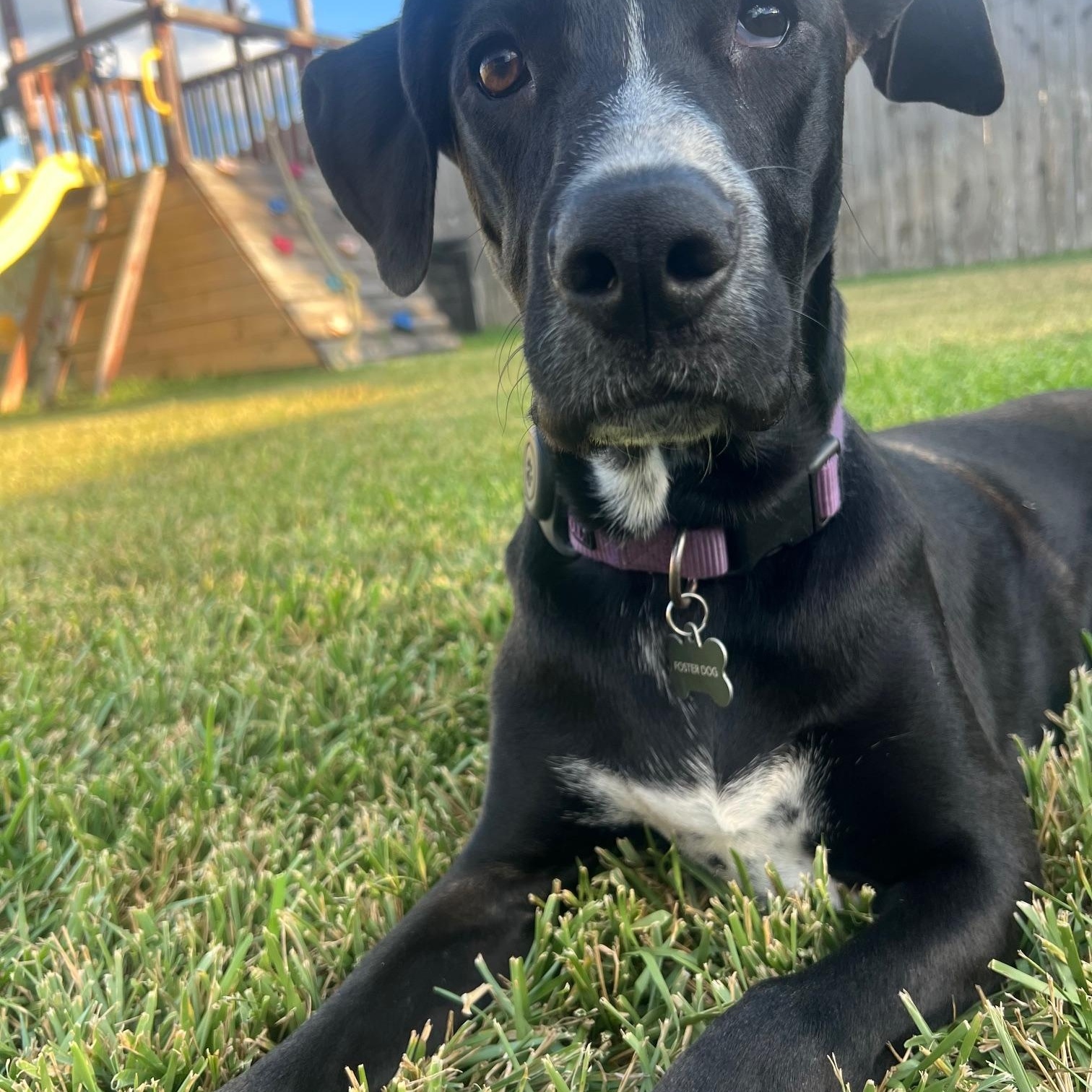 Sunshine beautiful baby with limited vision in one eye — thumbnail 3