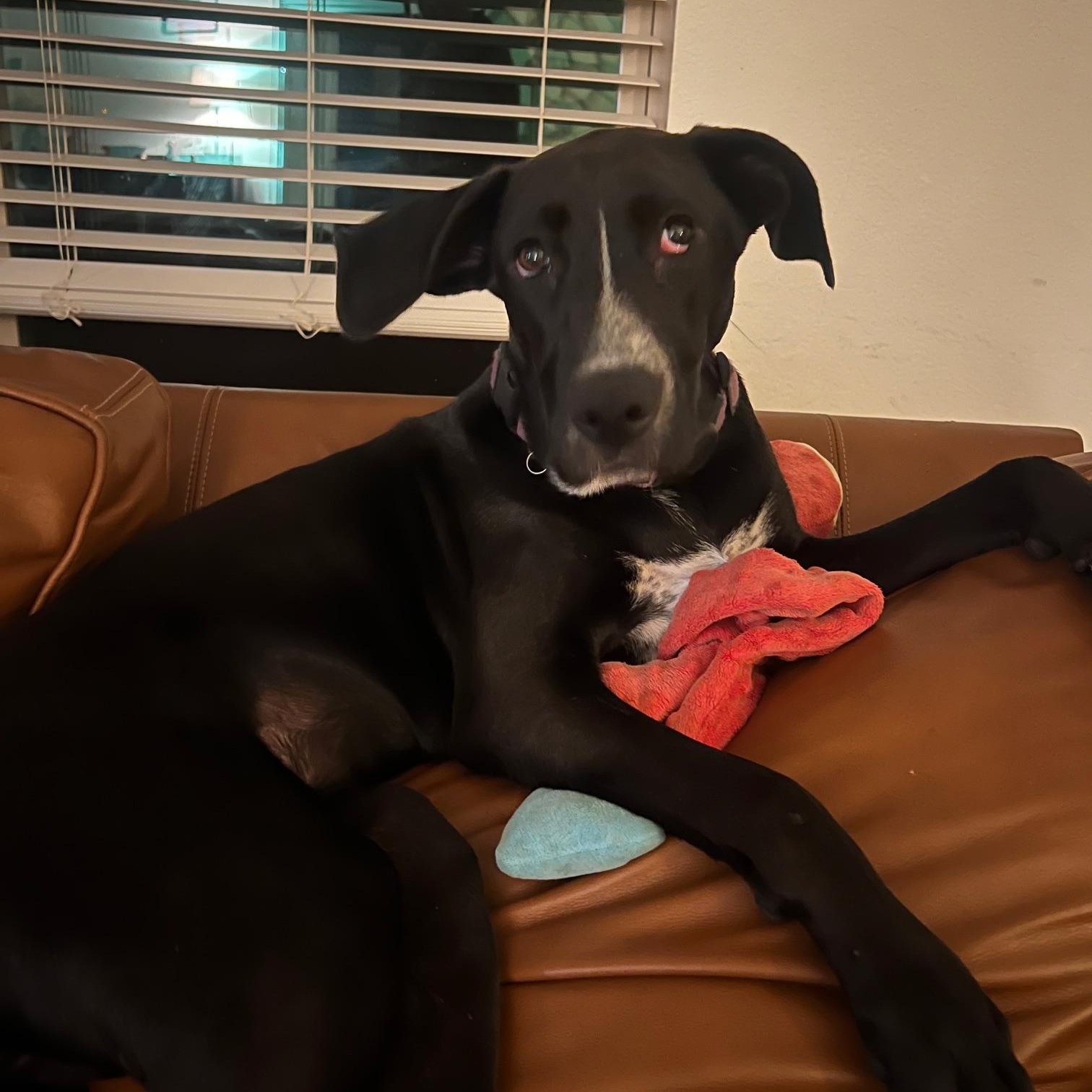 Sunshine beautiful baby with limited vision in one eye — thumbnail 4