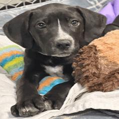 Sunshine beautiful baby with limited vision in one eye — thumbnail 5