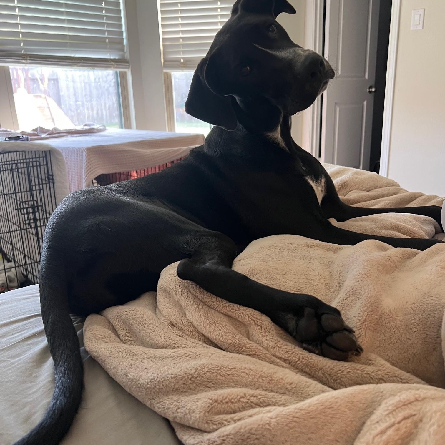 Sunshine beautiful baby with limited vision in one eye — thumbnail 6