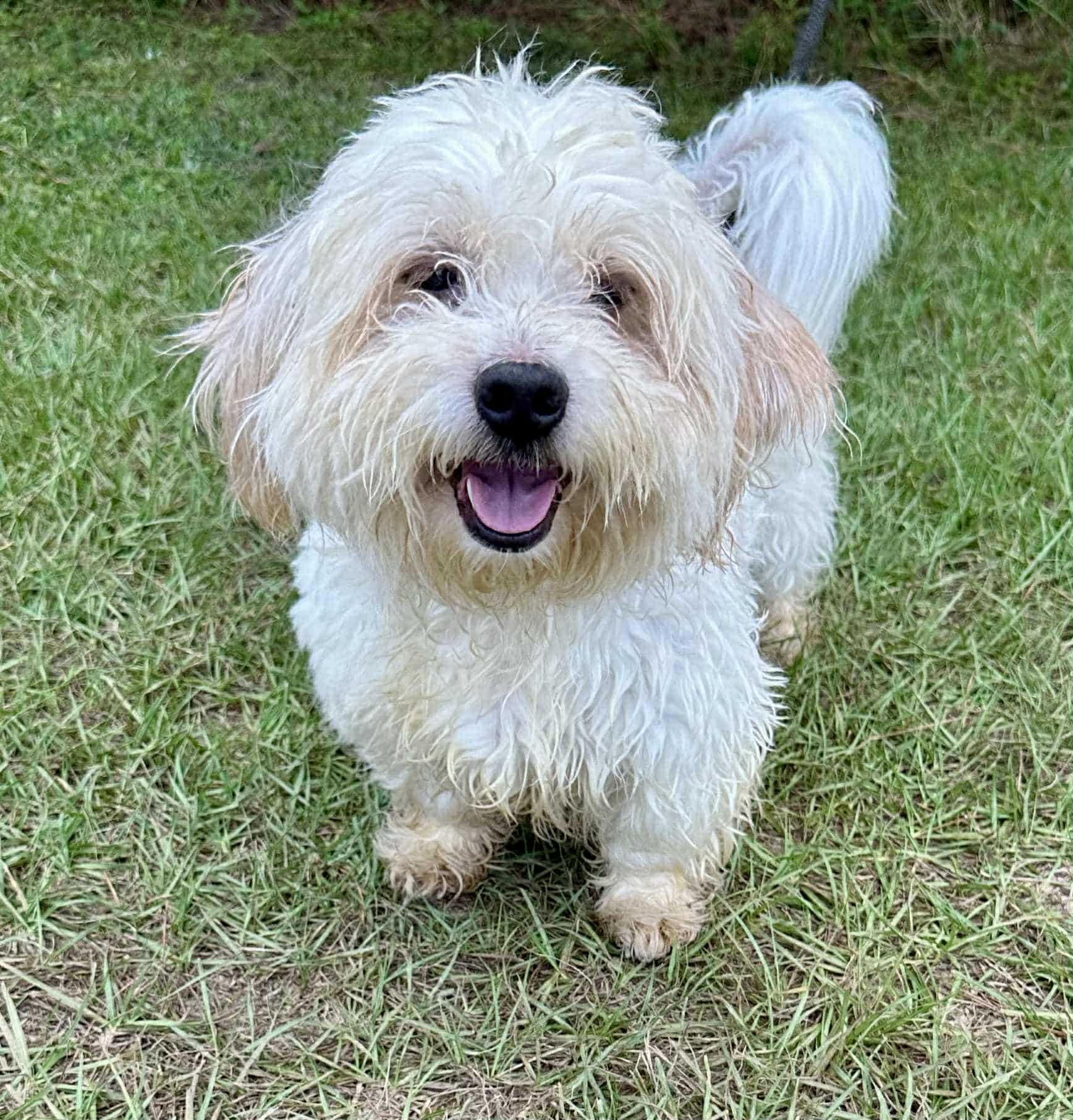 Ben