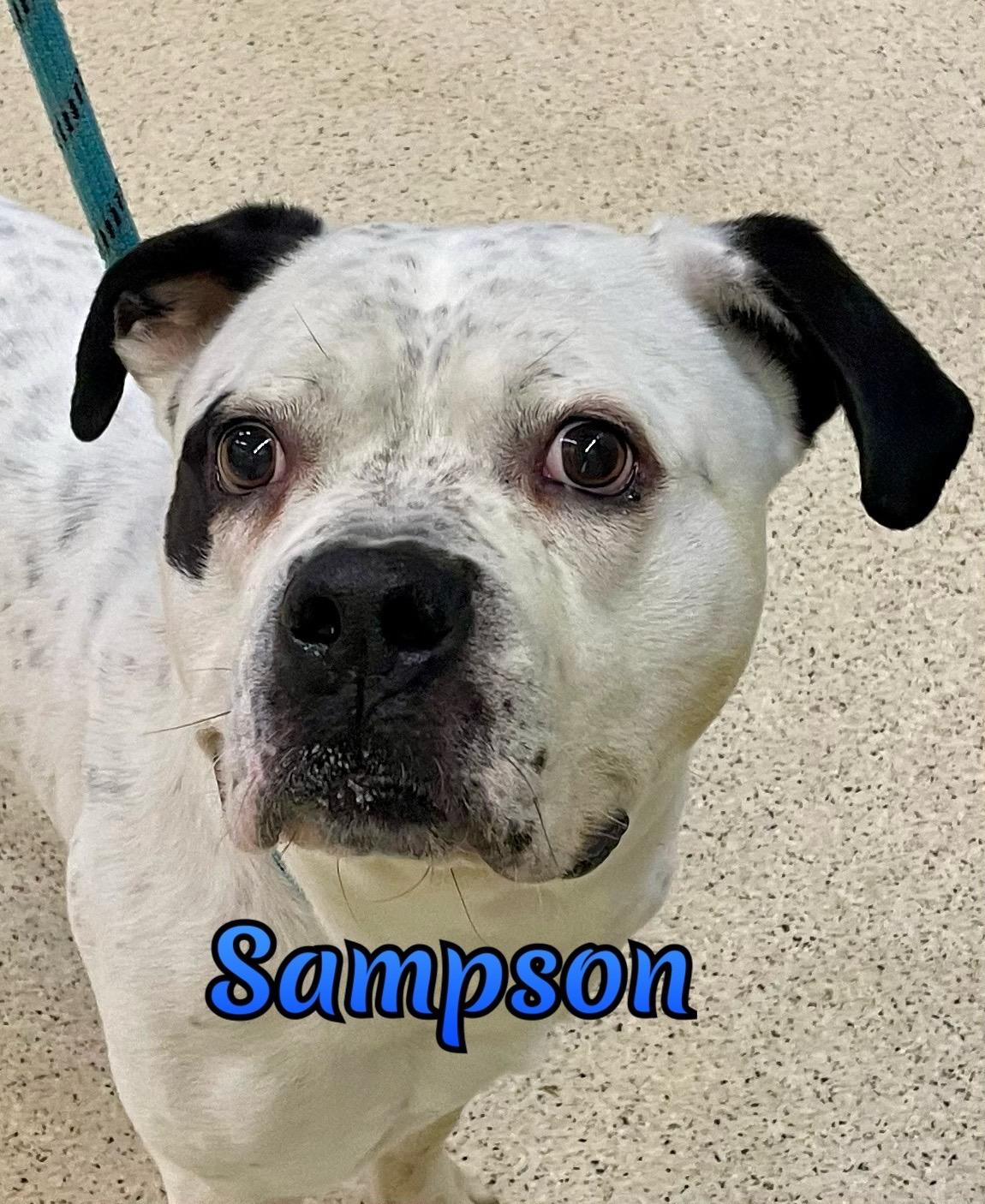 Sampson