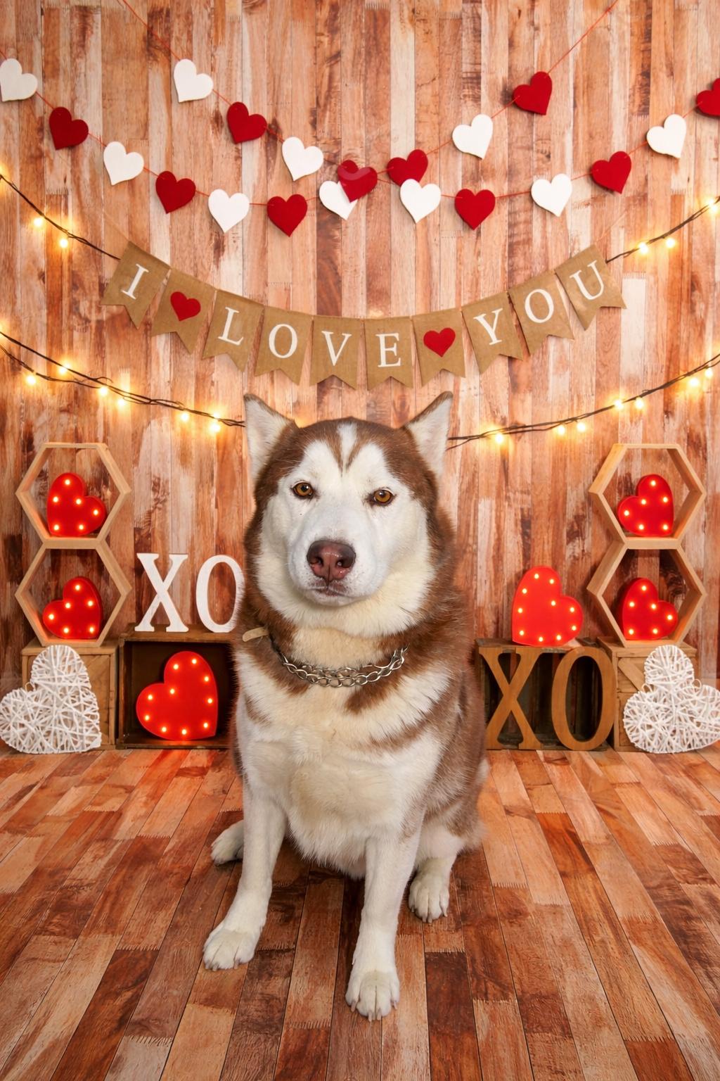 Brownie — thumbnail 4