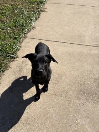 Bugs — thumbnail 2