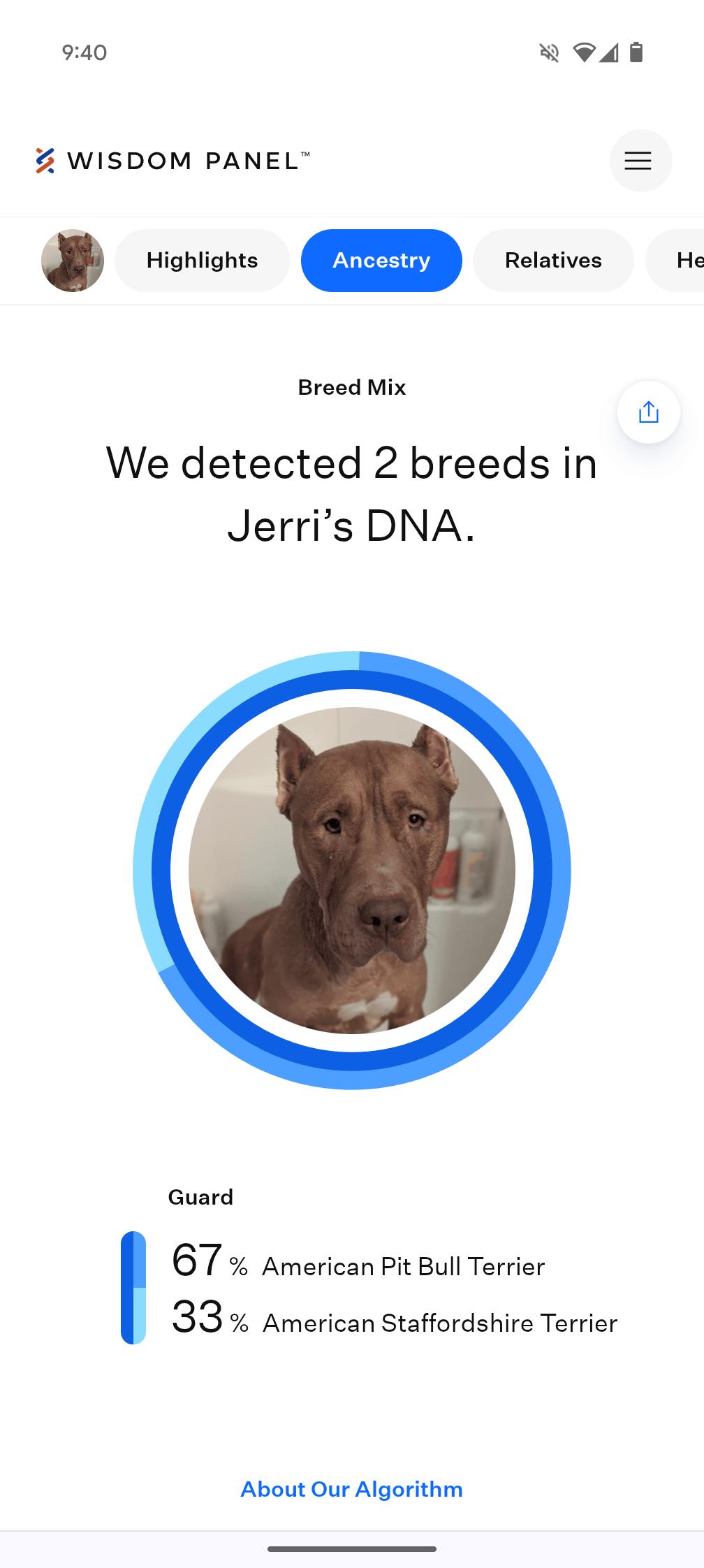 Jerri, a ADOPTABLE mixed breed in Indianapolis, IN image 3/5