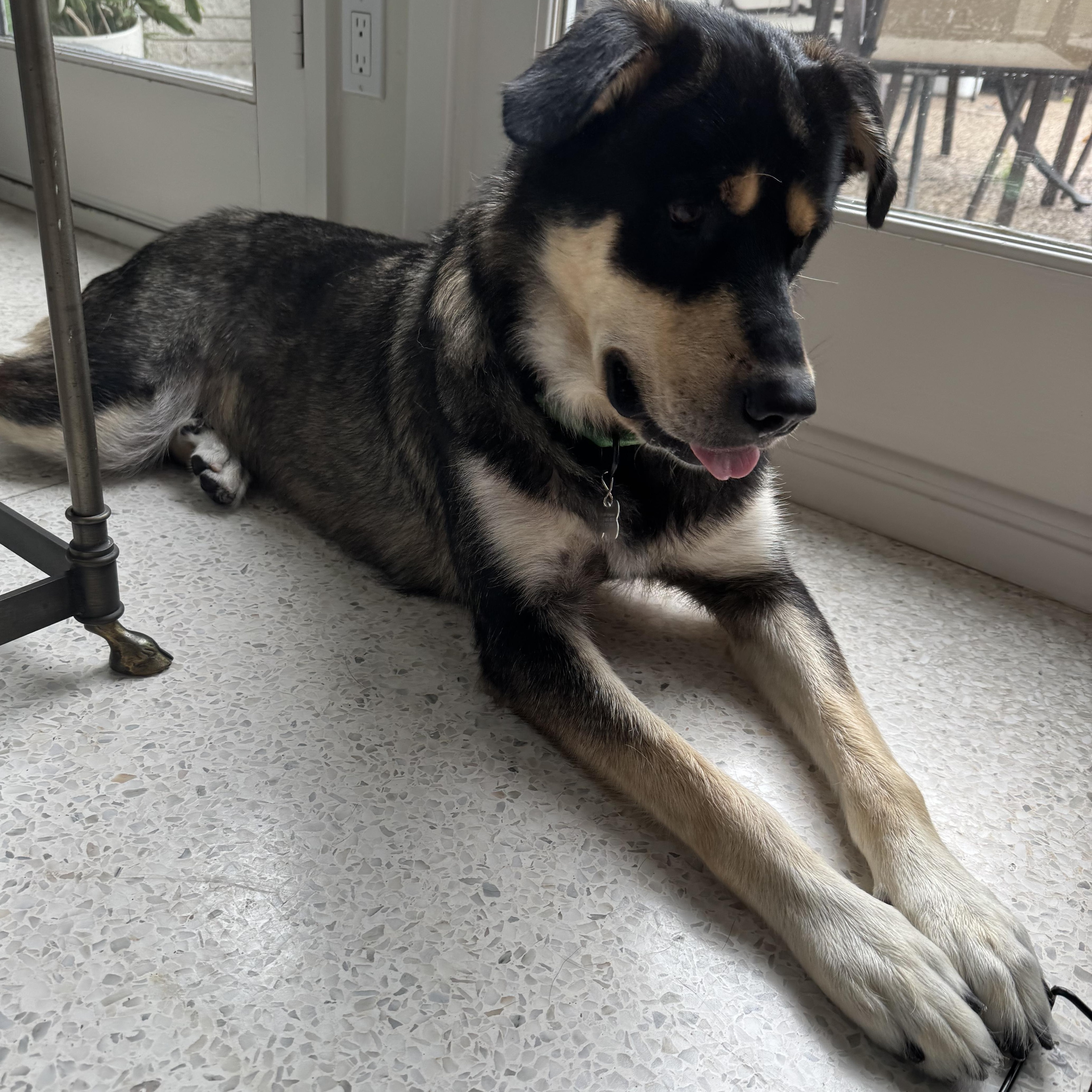 Bella Mae 3