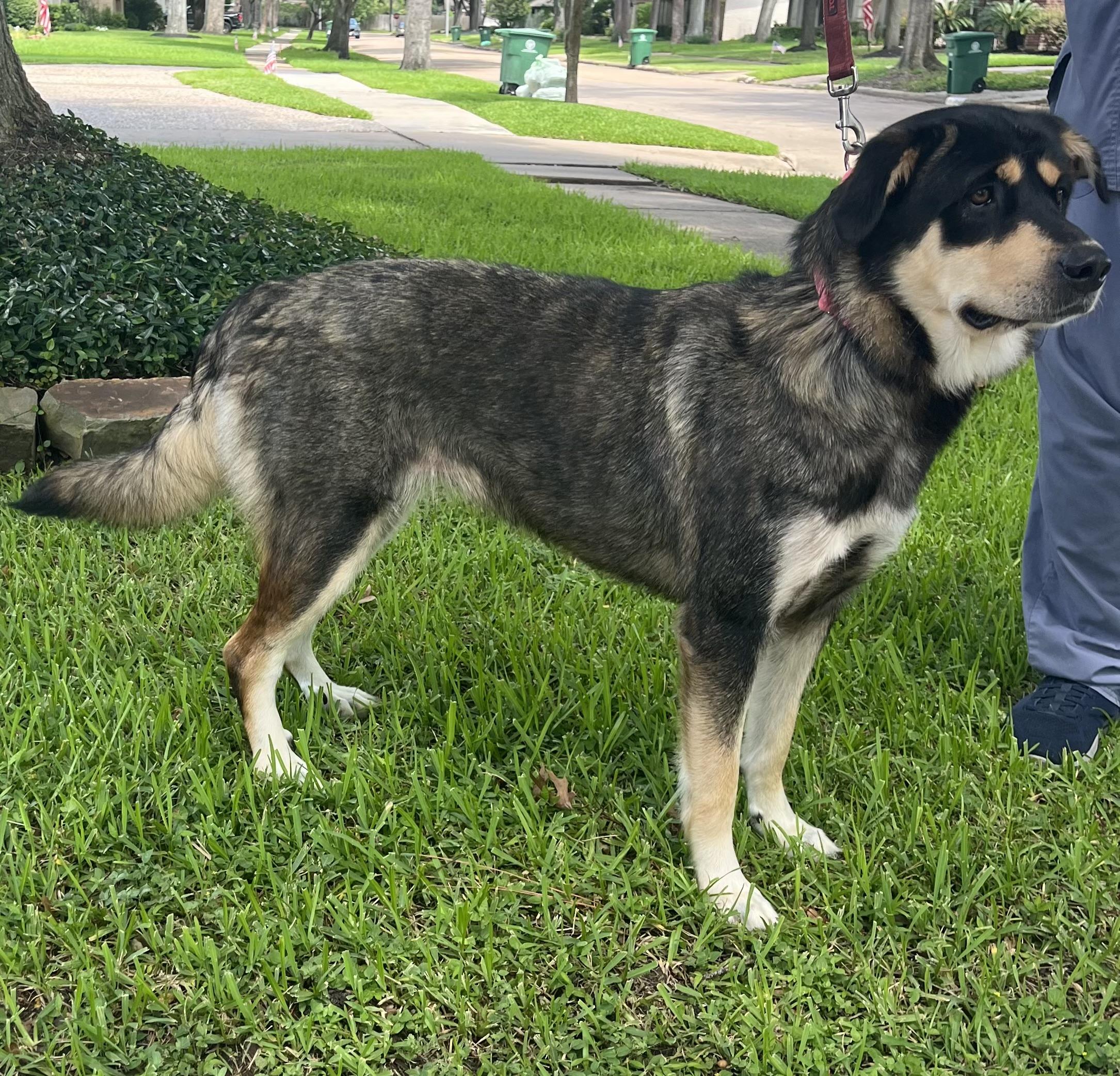 Bella Mae 4