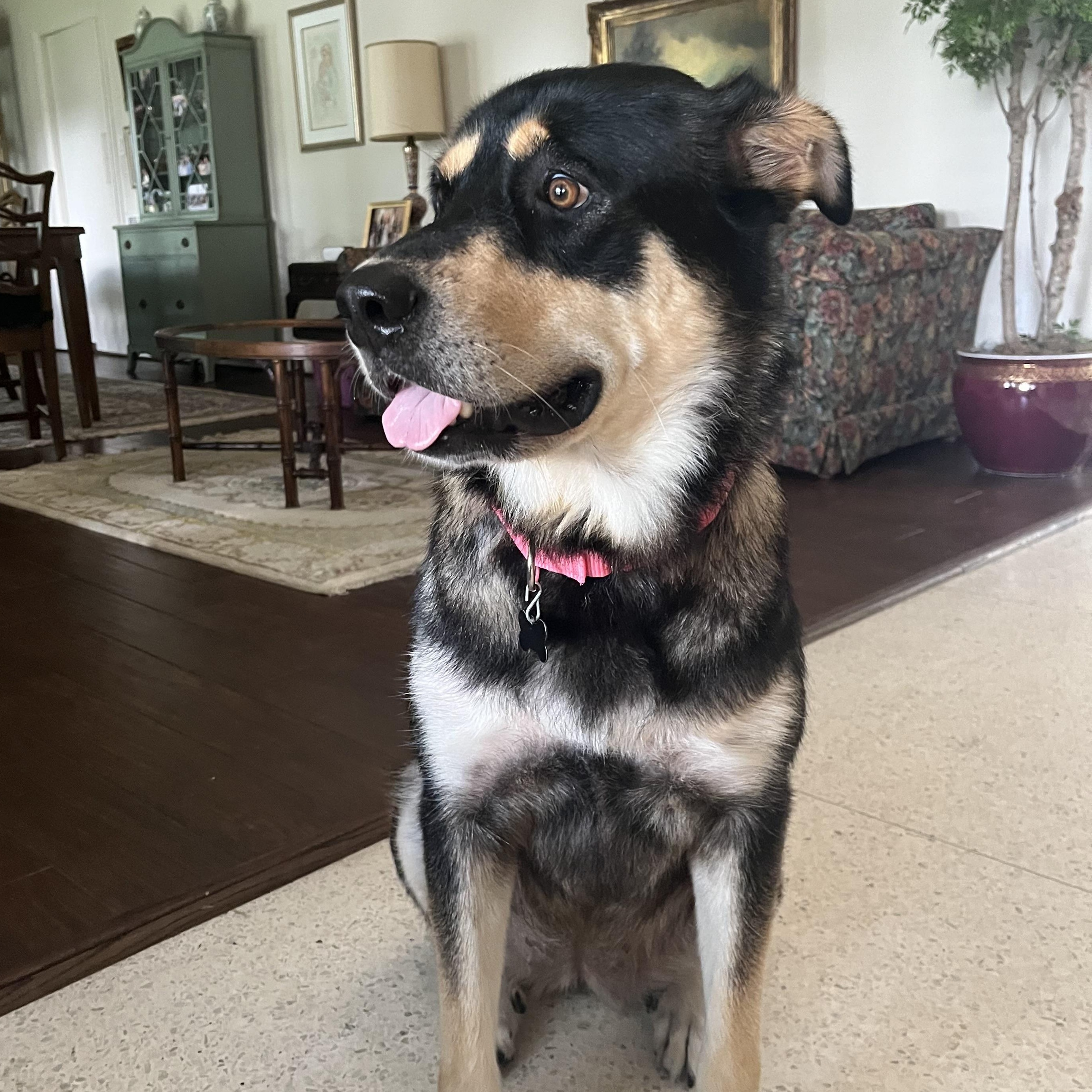 Bella Mae 2