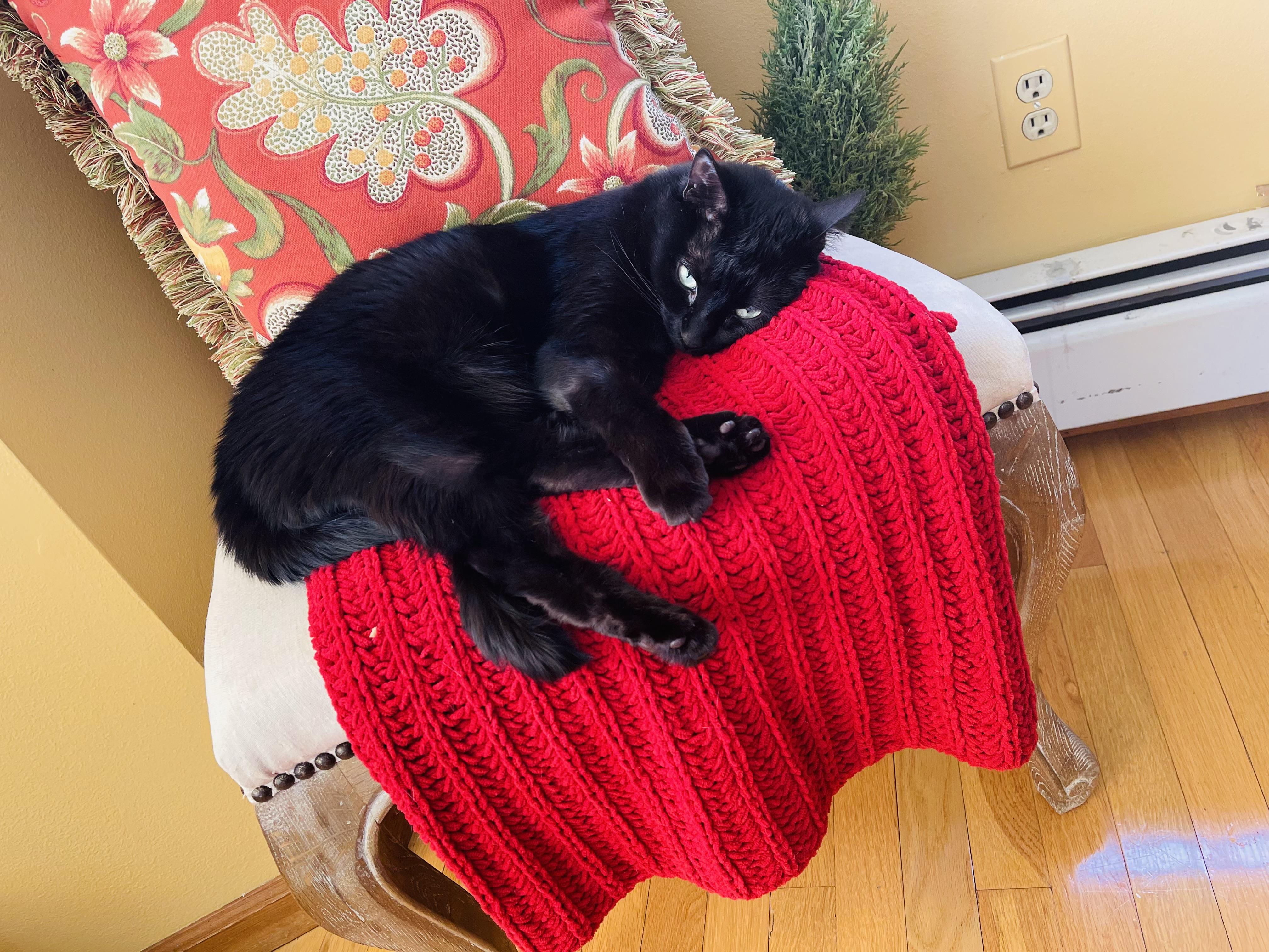 Lucy (WATCH VIDEO) lover (ONLY PET) **TONS OF SUPPLIES**