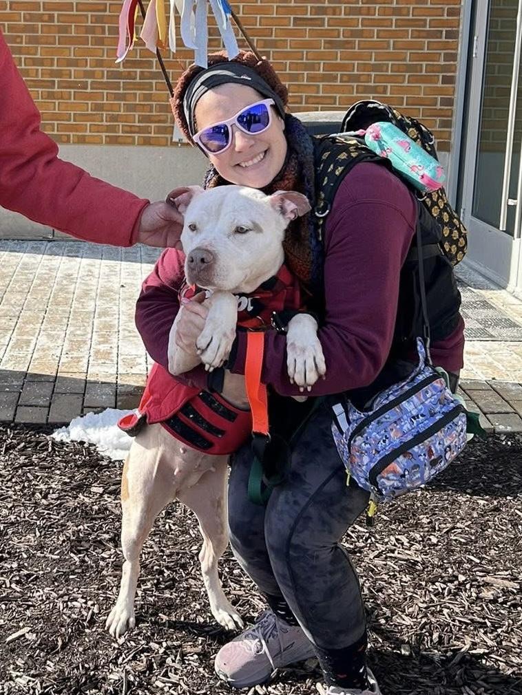 Enlarge Pear, a ADOPTABLE mixed breed in Cleveland, OH image 2/6