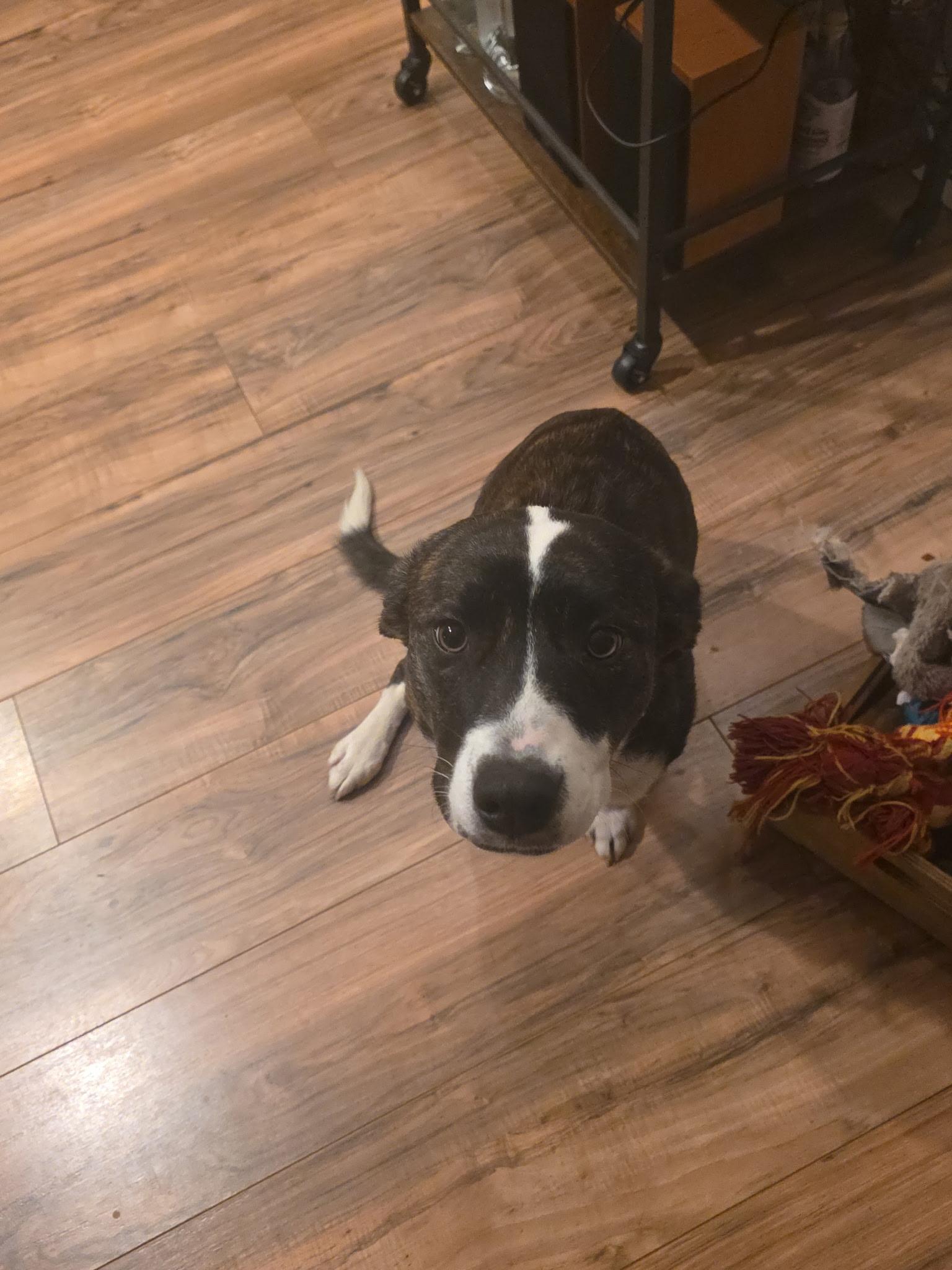 Meadow — thumbnail 2