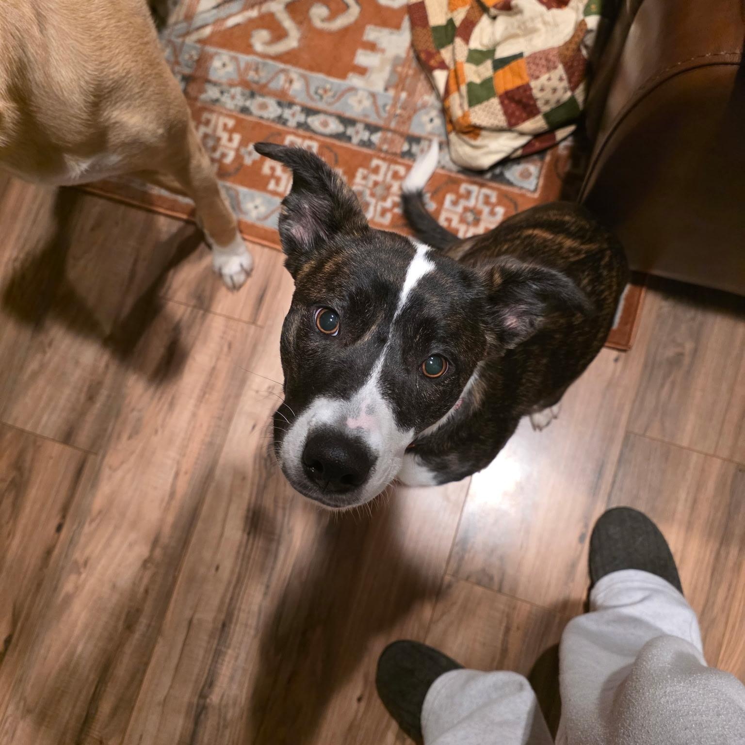 Meadow — thumbnail 5