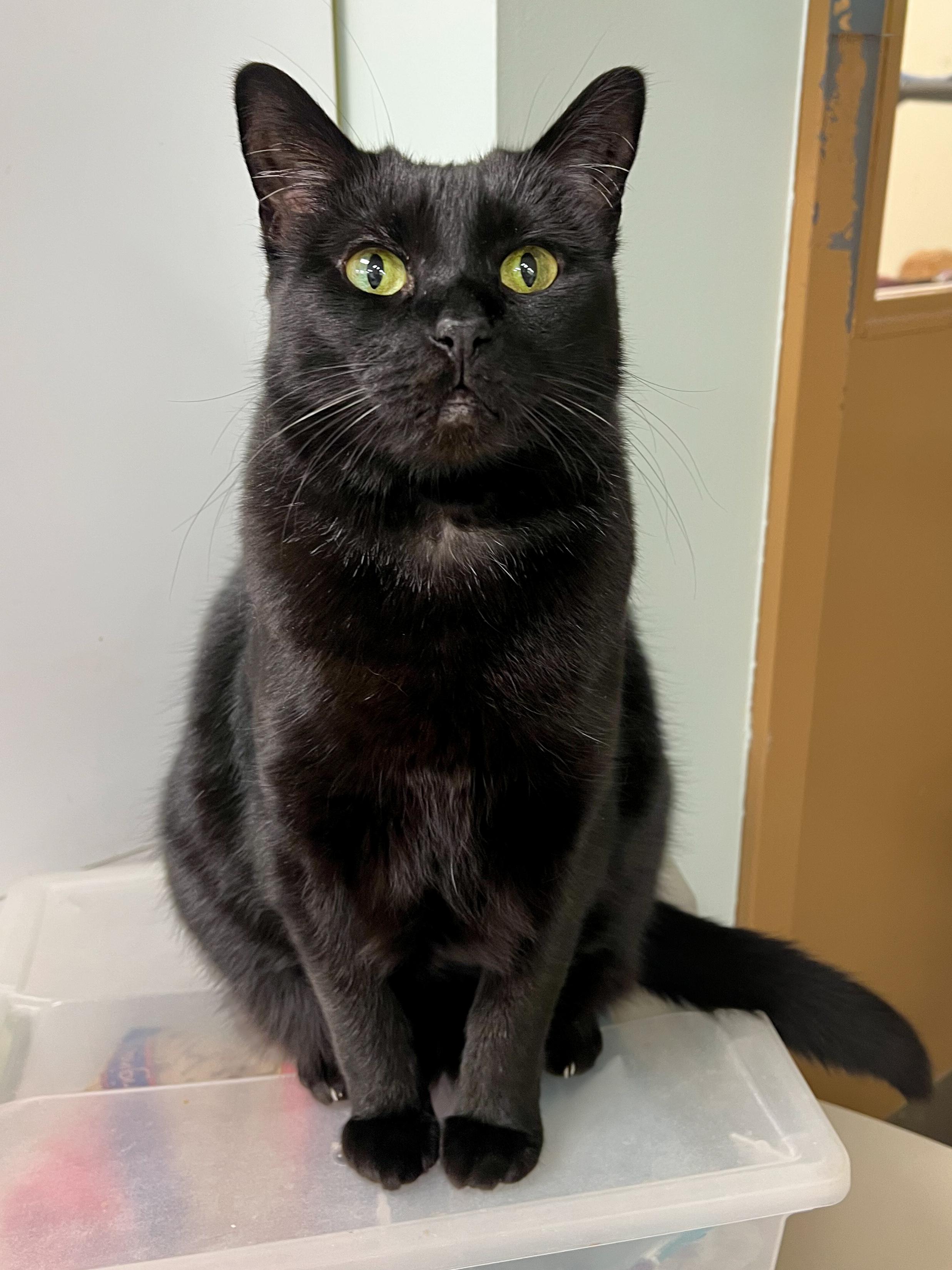 Wrigley — thumbnail 2