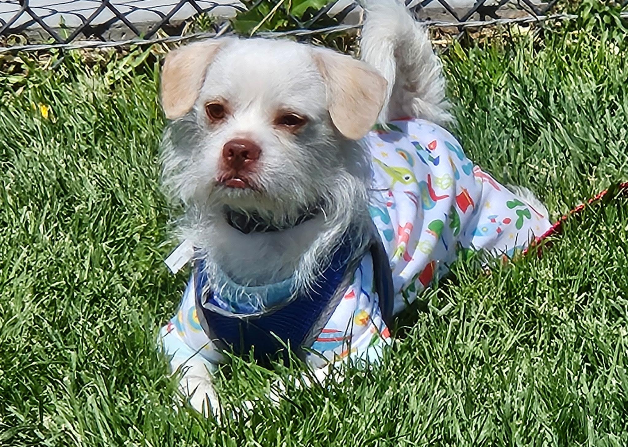 Ketano Wat thumbnail 5