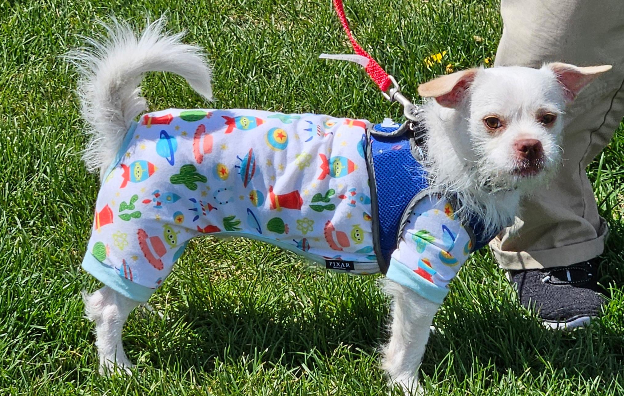 Ketano Wat thumbnail 6