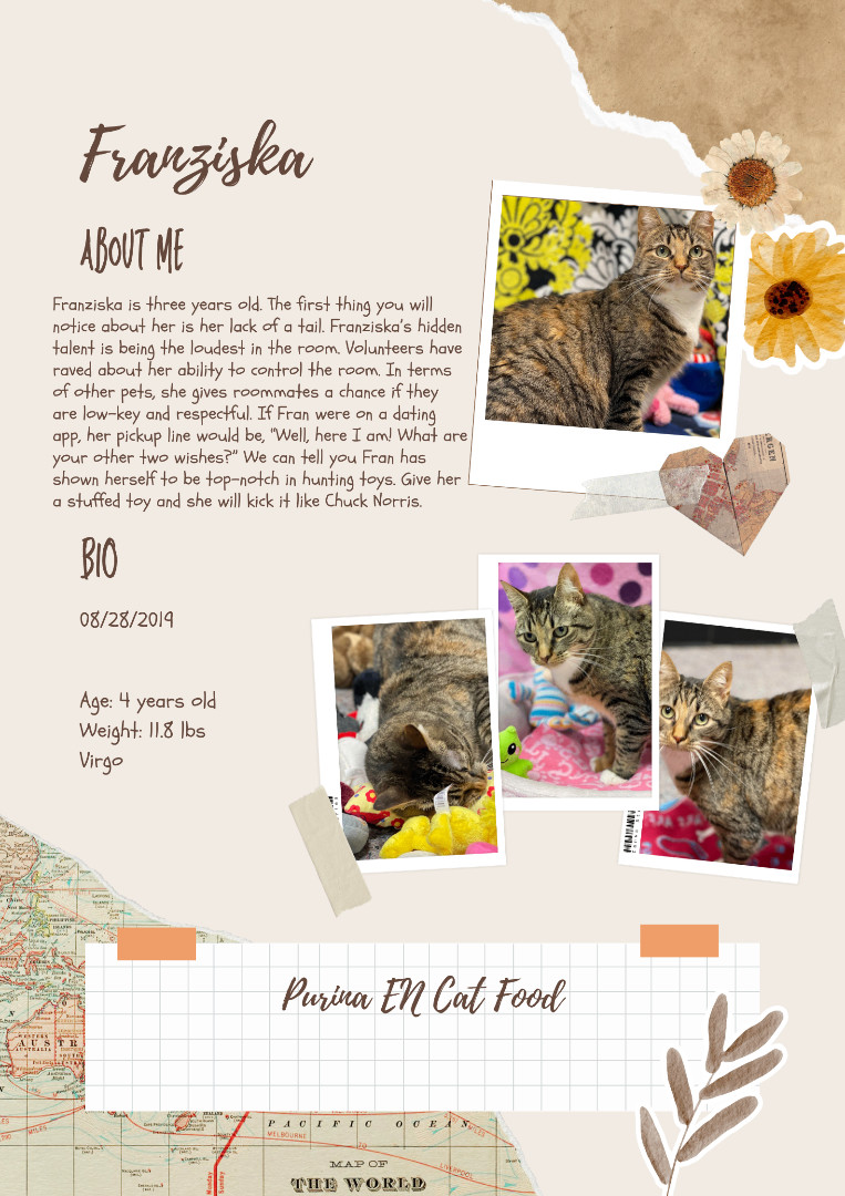 Franziska, a Adoptable mixed breed in Huntington, WV image 2/6