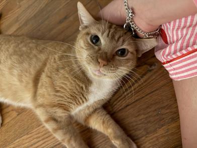 Charlotte — thumbnail 6