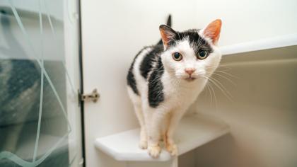 Rita — thumbnail 2