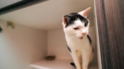 Rita — thumbnail 3