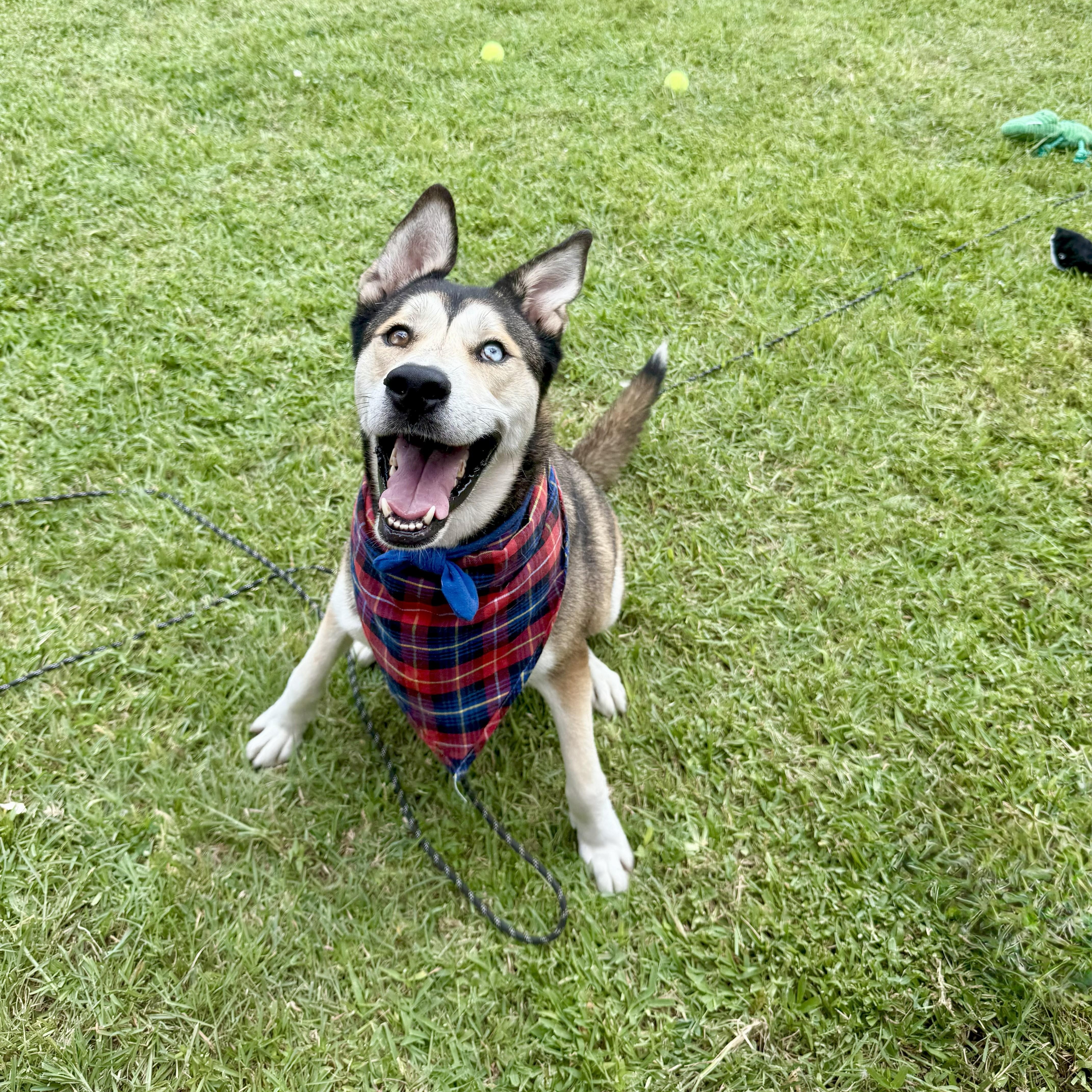 Ken Kix's — thumbnail 4