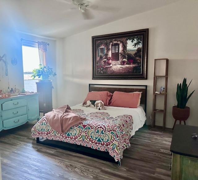 Enlarge Billie, a ADOPTABLE Beagle in Phoenix, AZ image 4/5