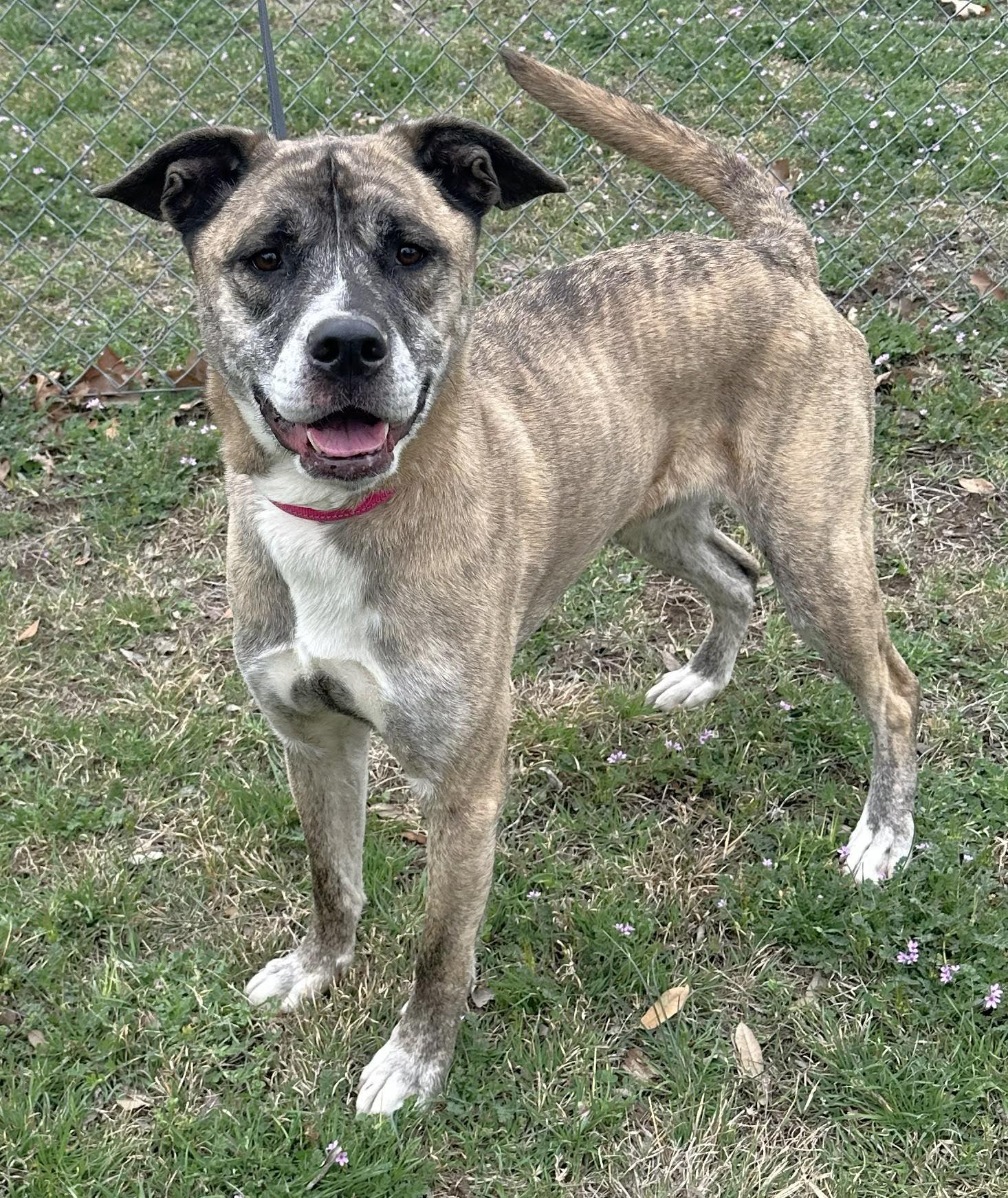 Gravy — thumbnail 3