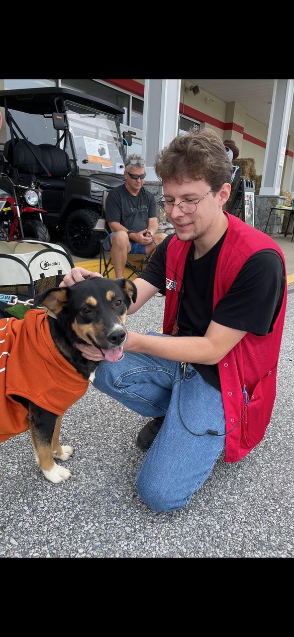 Enlarge Poppy, a Adoptable Mixed Breed in Lincoln University, PA image 2/2