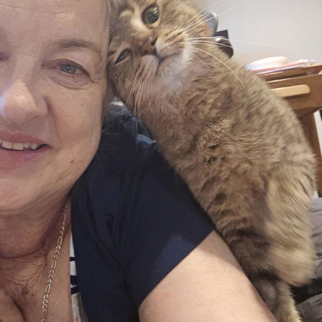 Enlarge Boop C10081, a Adoptable mixed breed in Princeton, MN image 6/6