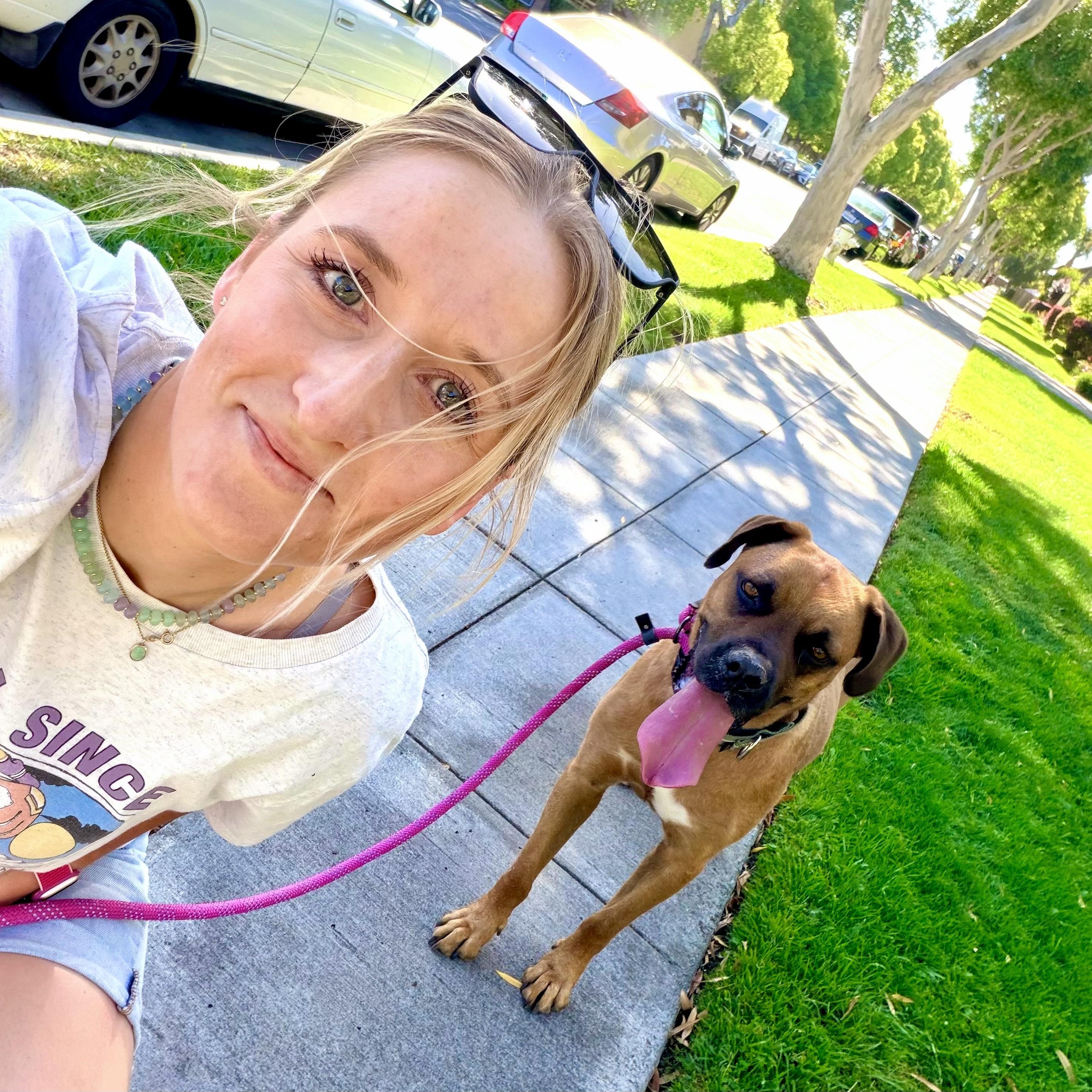 Missy, a Adoptable mixed breed in placerville, CA image 2/6