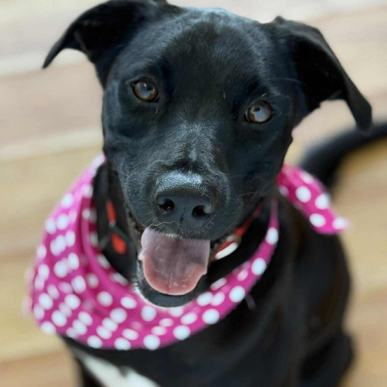 Luna
