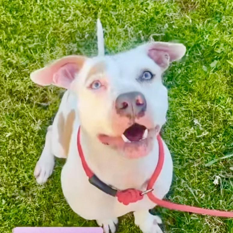 Leilani-Has the most wonderful personality