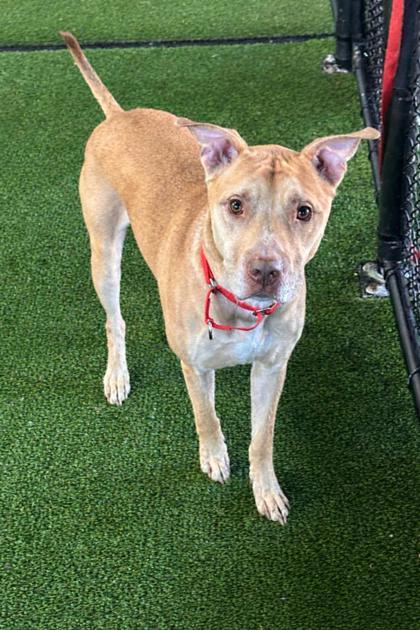 Robert — thumbnail 2