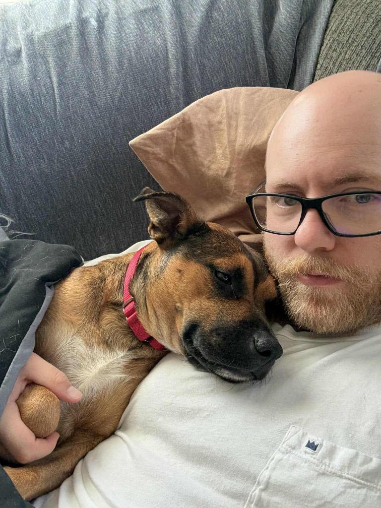 Enlarge Pinky, a Adoptable mixed breed in Hartsville, SC image 3/6