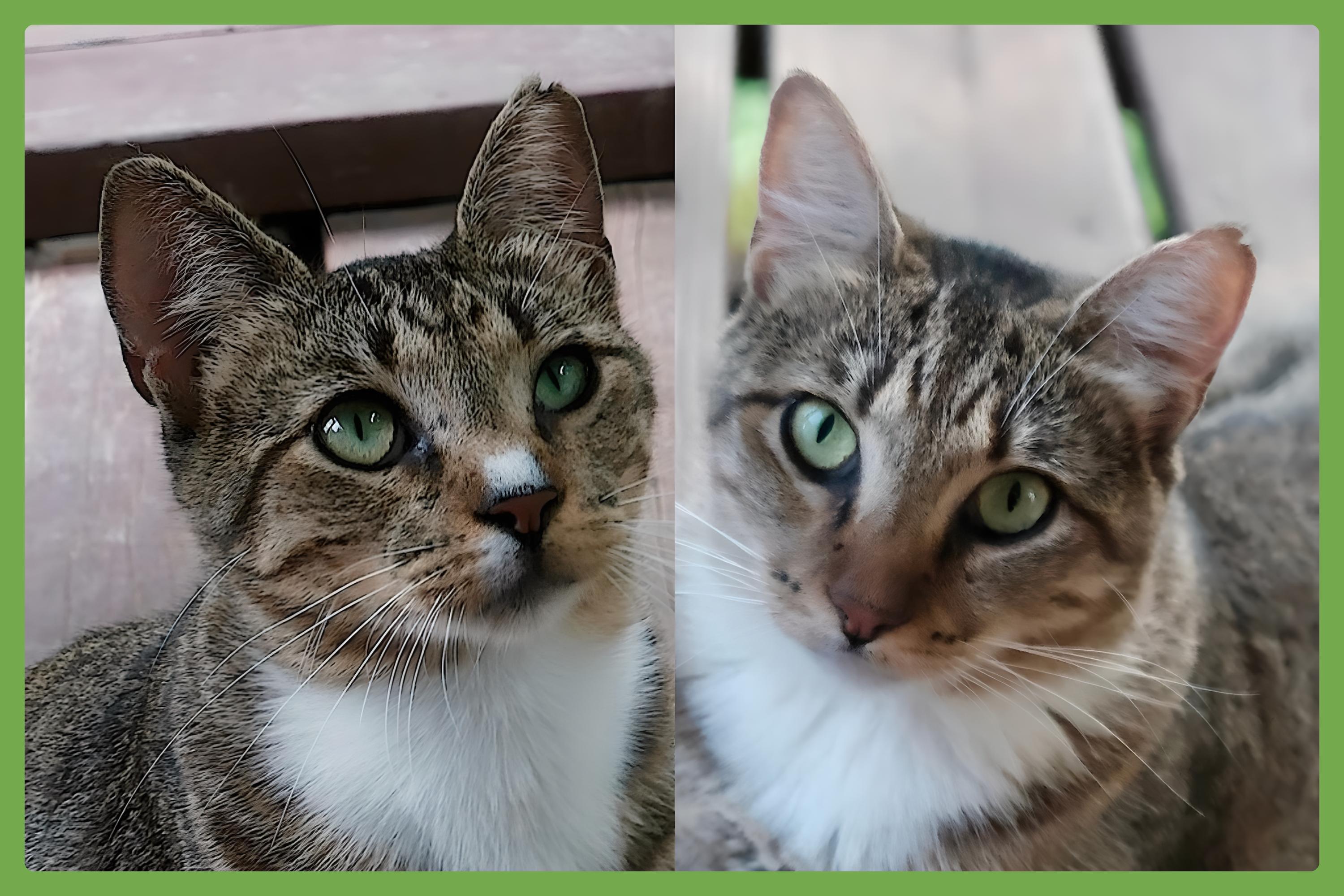 Chalky and Rusti — thumbnail 2