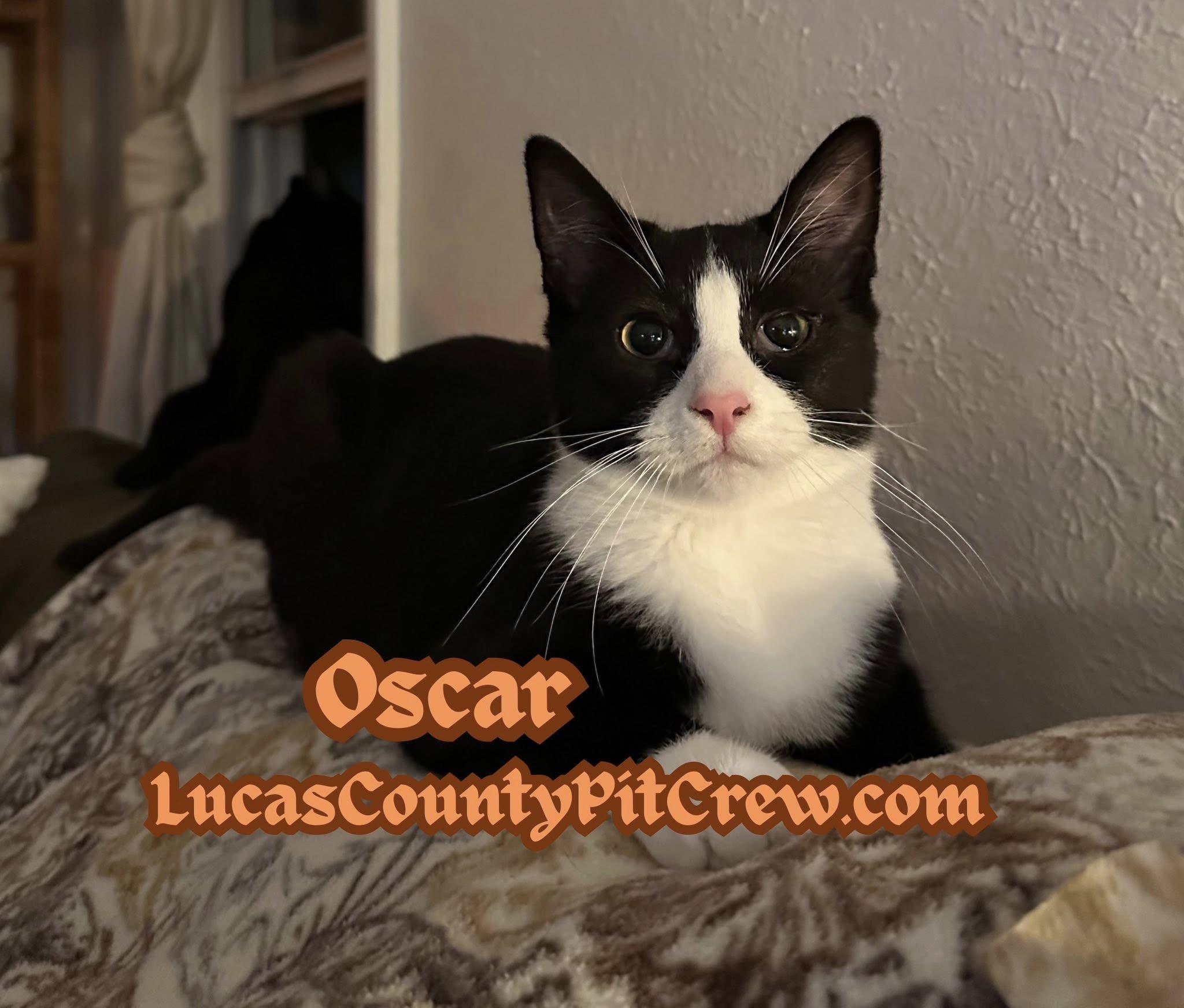 Oscar