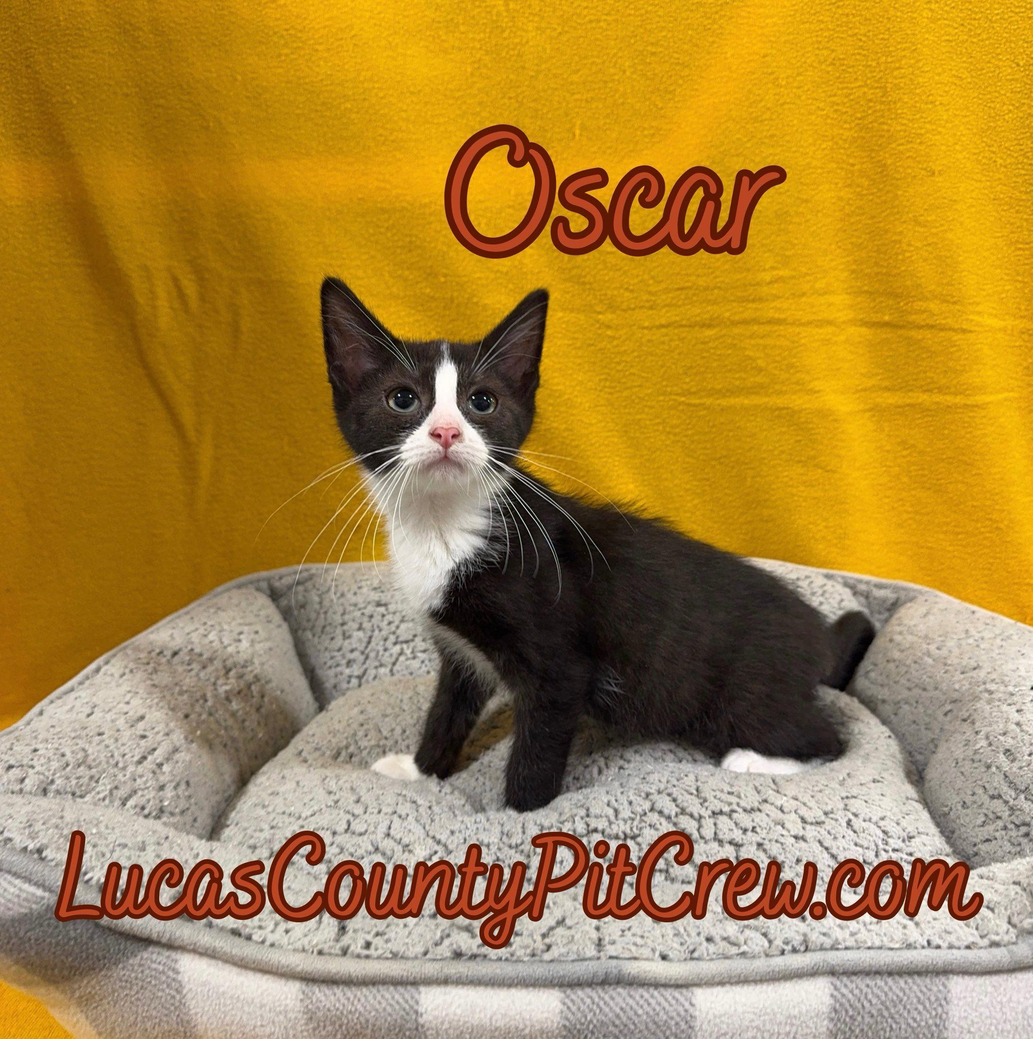 Oscar